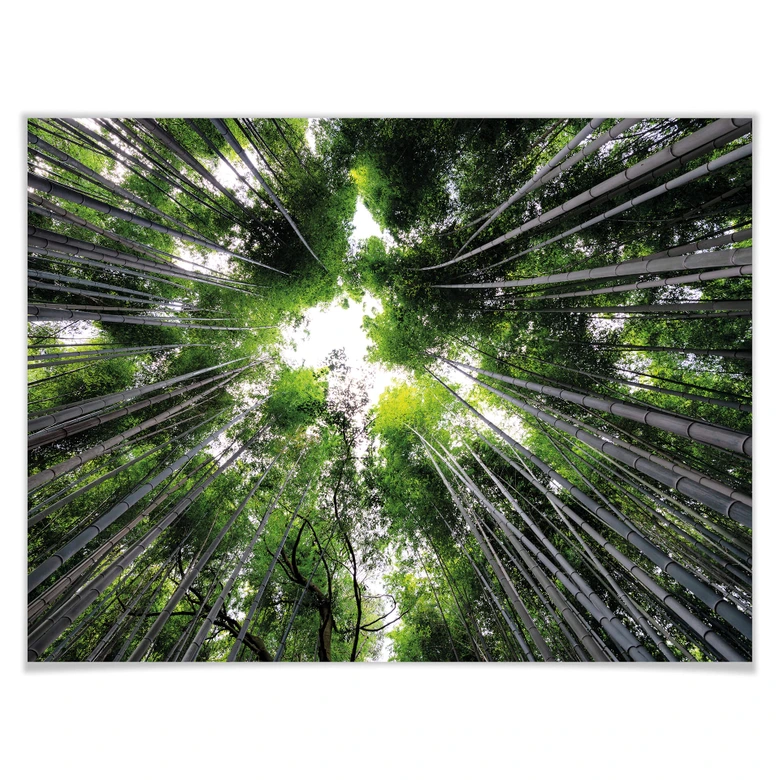 Poster Hugonnard - Wald in Japan 