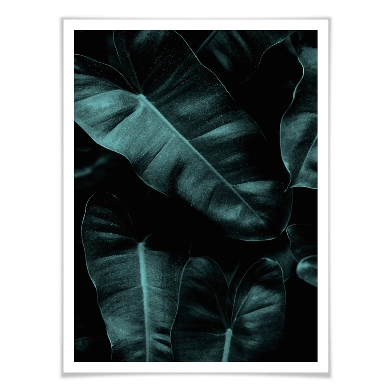 Poster Kubistika - Jungle 