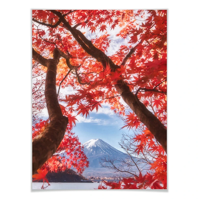 Póster Samejima - Hojas rojas 