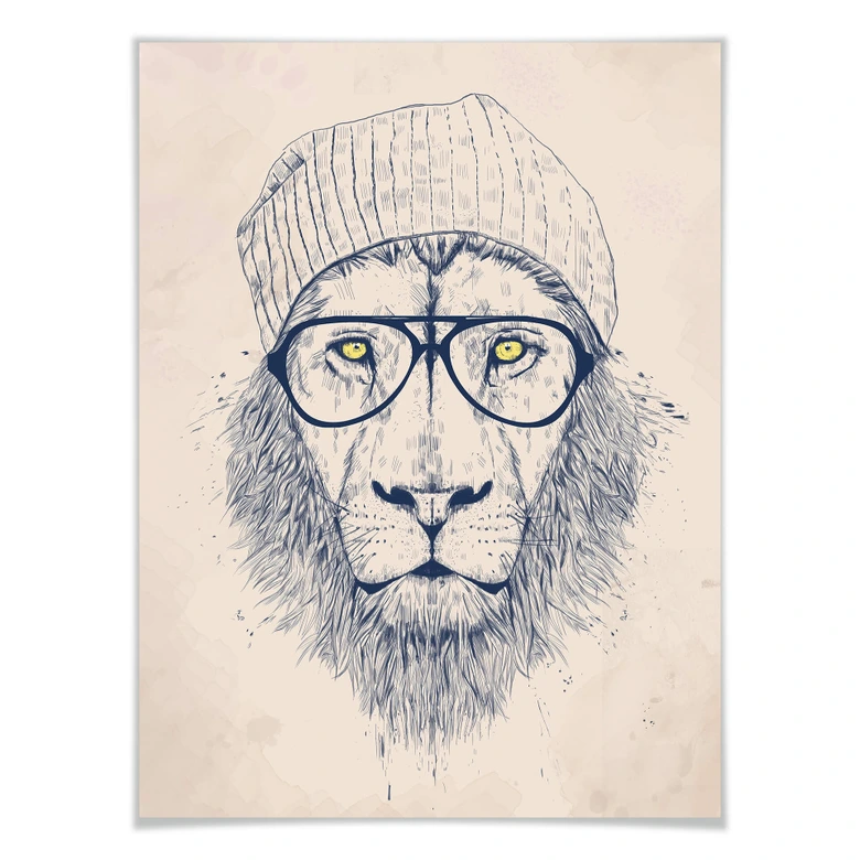 Poster Solti - Cool lion 