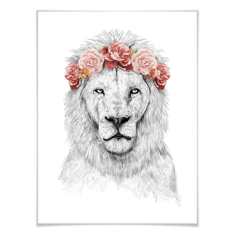 Plakat - Solti - Festival Lion 