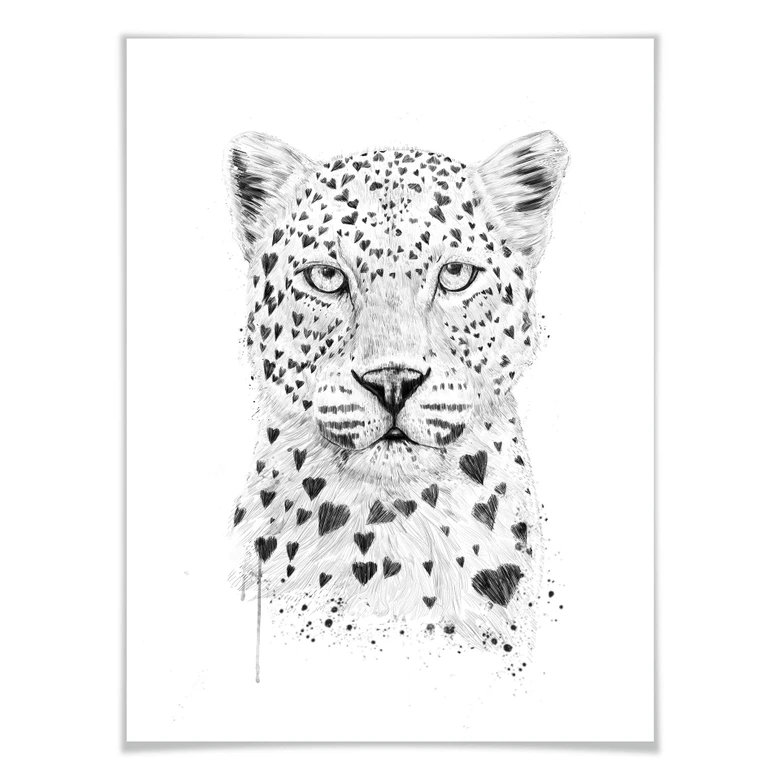 Poster Solti - Liebevoller Leopard 