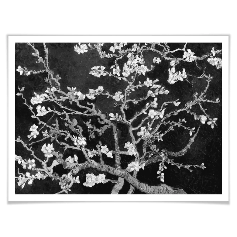 Poster van Gogh - Fleur d’amandier - noir 