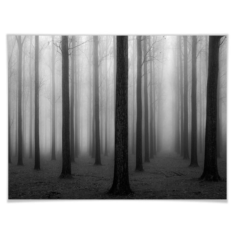 Poster Bongaerts - Nebel im Wald 