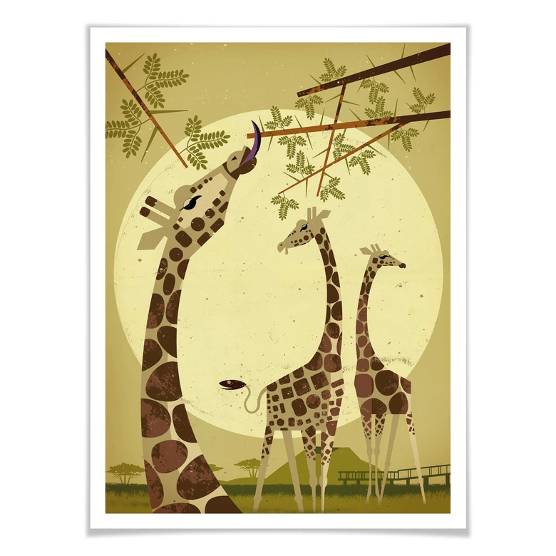 Poster Braun - Giraffes 