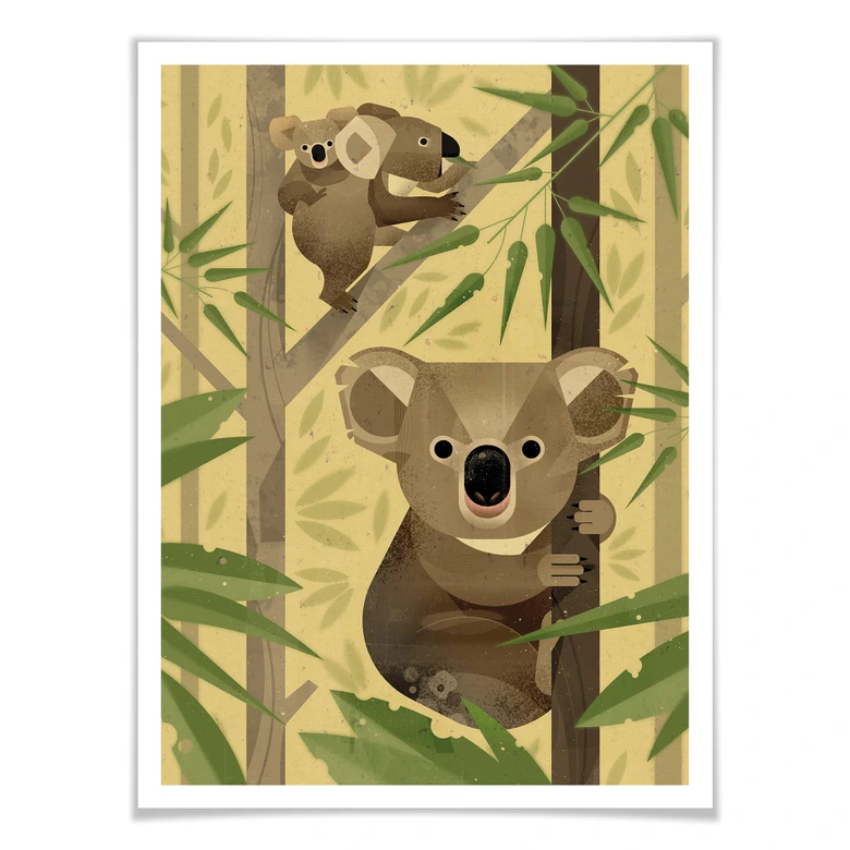 Poster Braun - Koala 