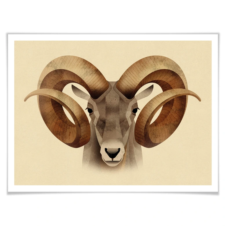 Poster Braun - Urial 