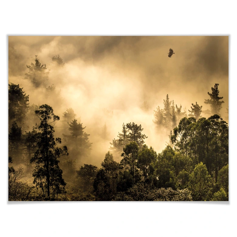 Poster Cuadrado - Clouds of Light 