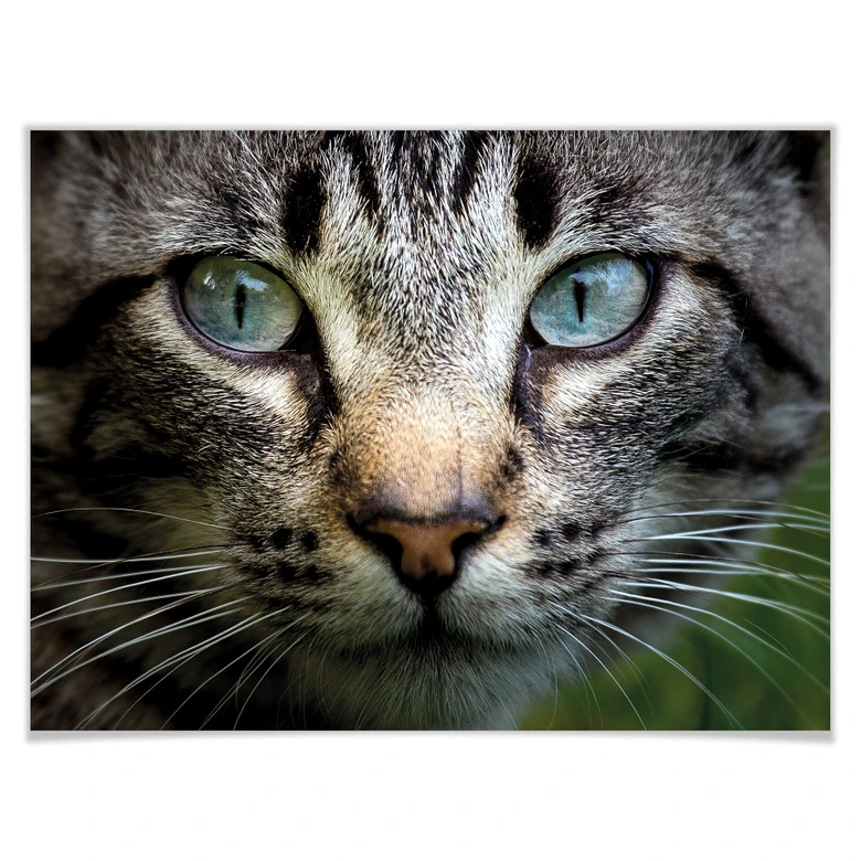Poster Cuadrado - In Your Eyes 