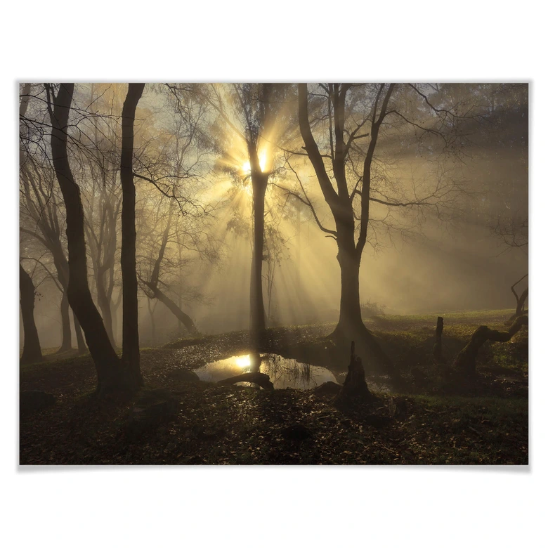 Poster Cuadrado - Light 