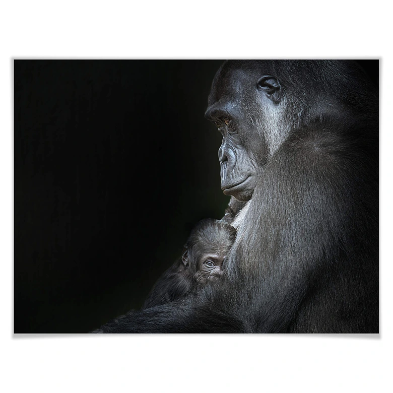 Poster Cuadrado - Tenderness 
