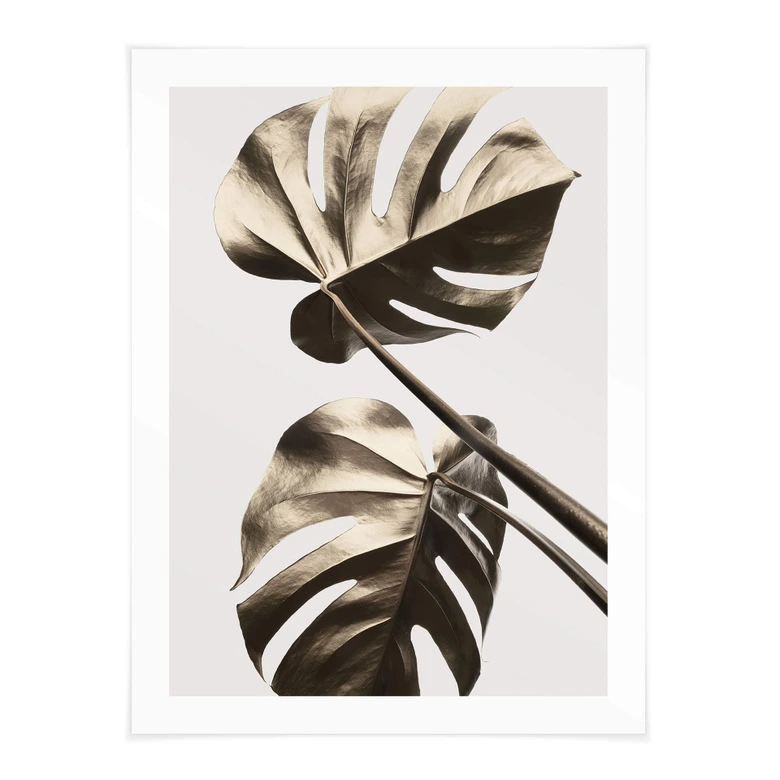 Poster 1X Studio - Goldene Monstera 
