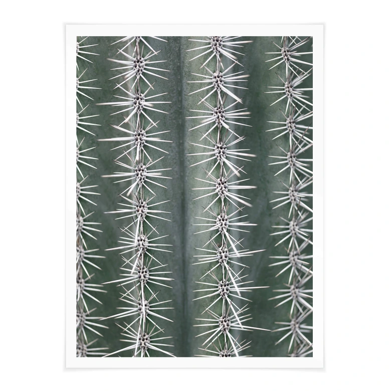 Poster 1X Studio - Kaktus 