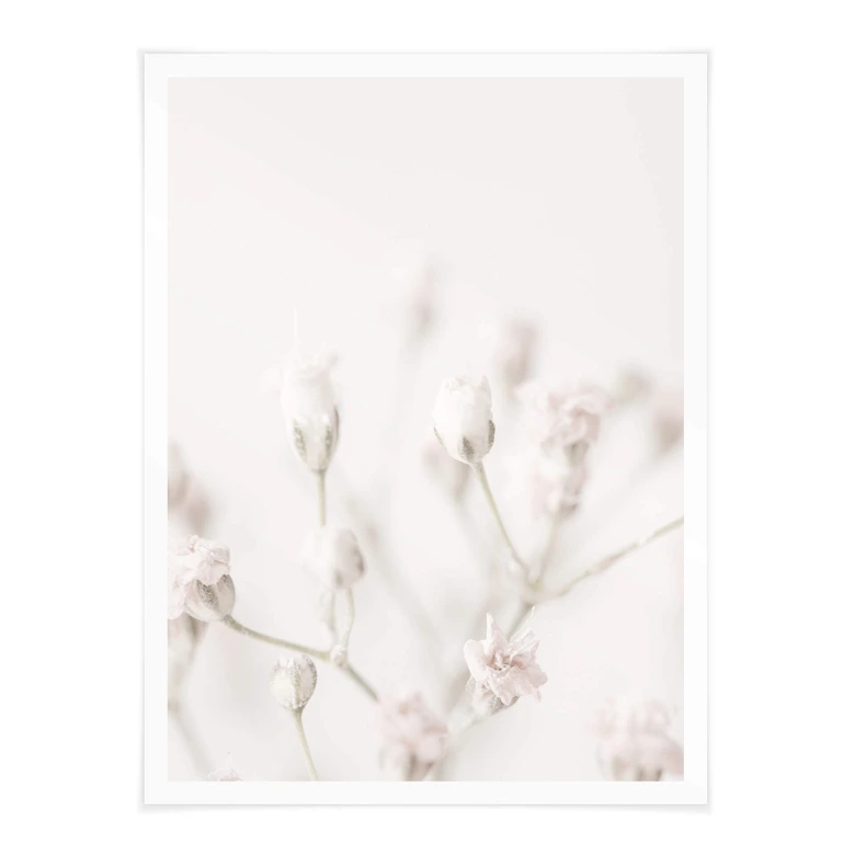 Poster 1X Studio - Zarte Blüten 