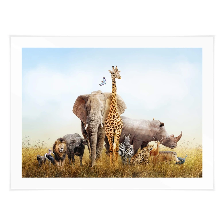 Poster Animaux africains 