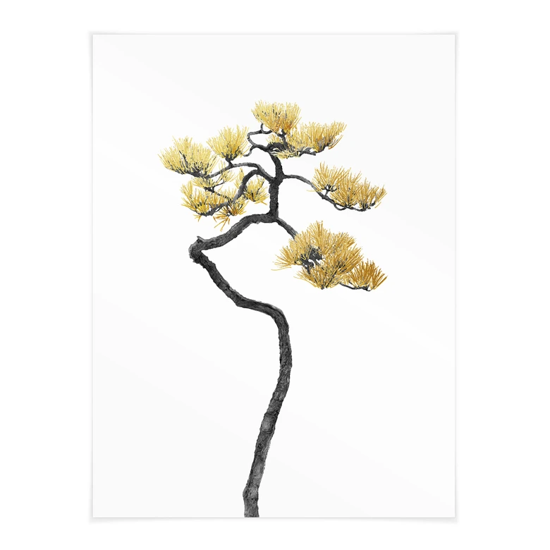 Poster Bonsai in Balance - Amini  