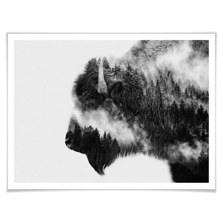 Poster Angyalosi - Bison 