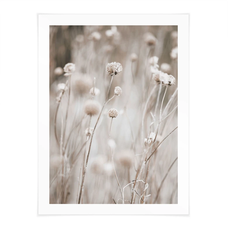 Poster Fleurs séchées dans des tons doux - Annie 