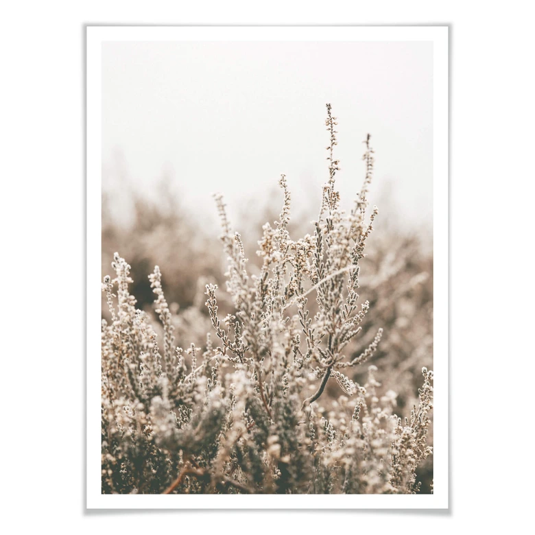 Plakat - Annie - Grass 
