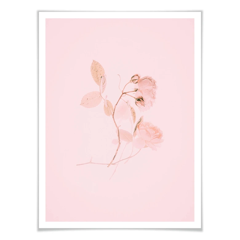 Plakat Annie - La vie en rose 