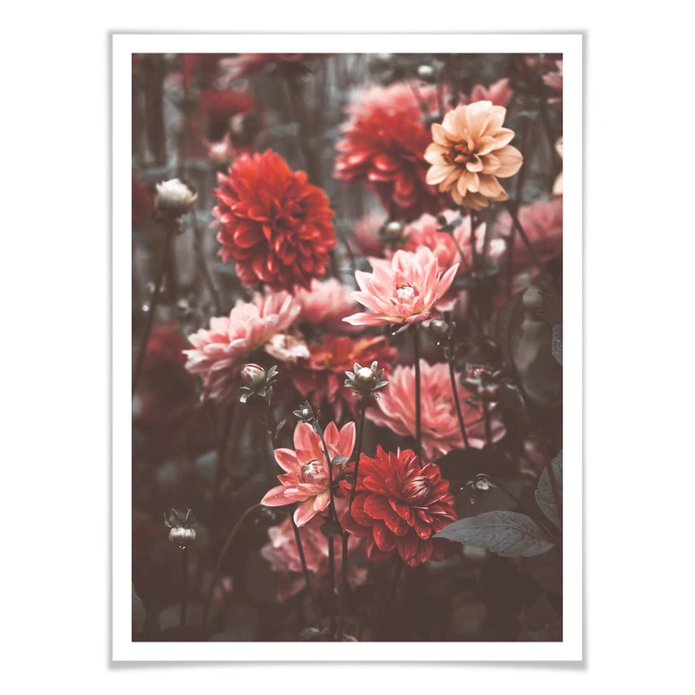 Poster Annie - Sommerblüten 