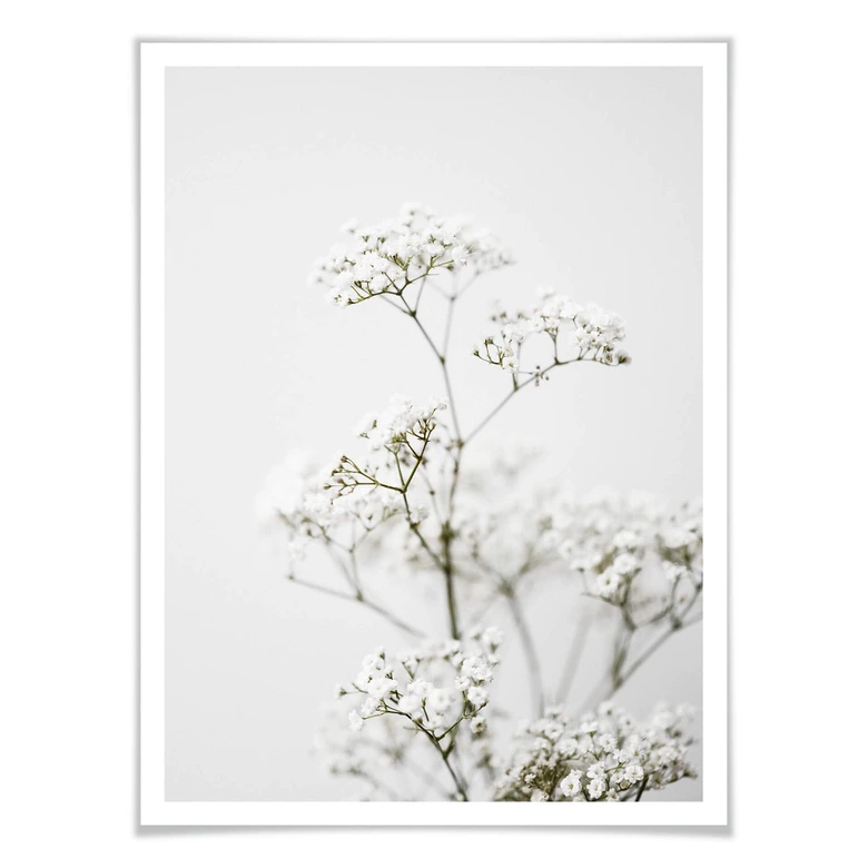 Plakat Annie - trybula łąkowa 