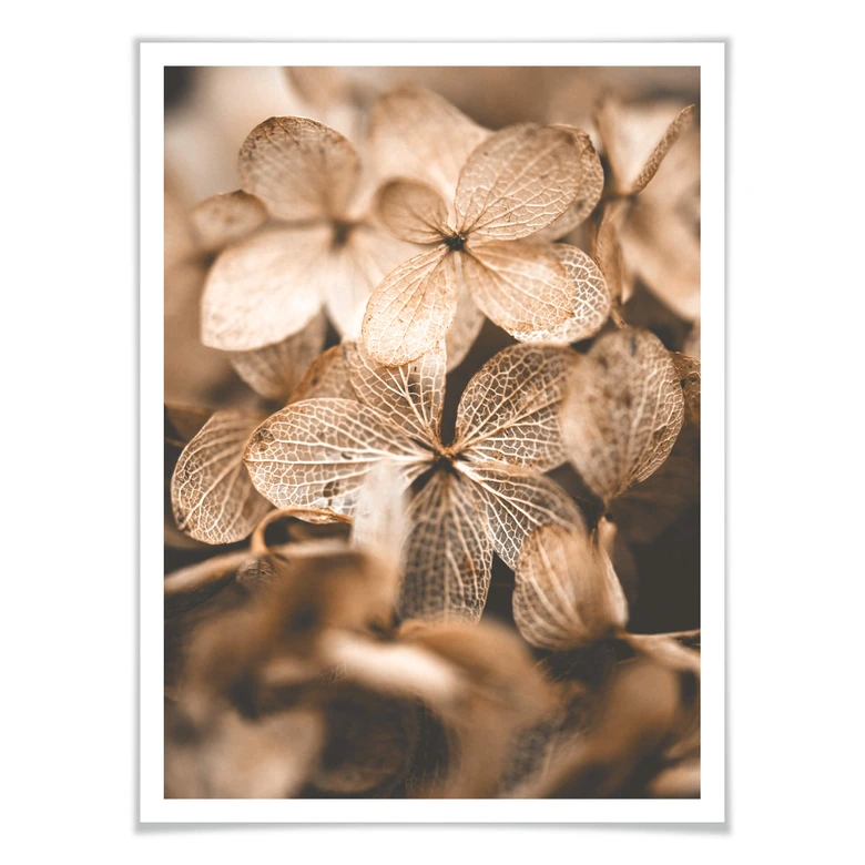 Plakat - Annie - Delicate Flowers 