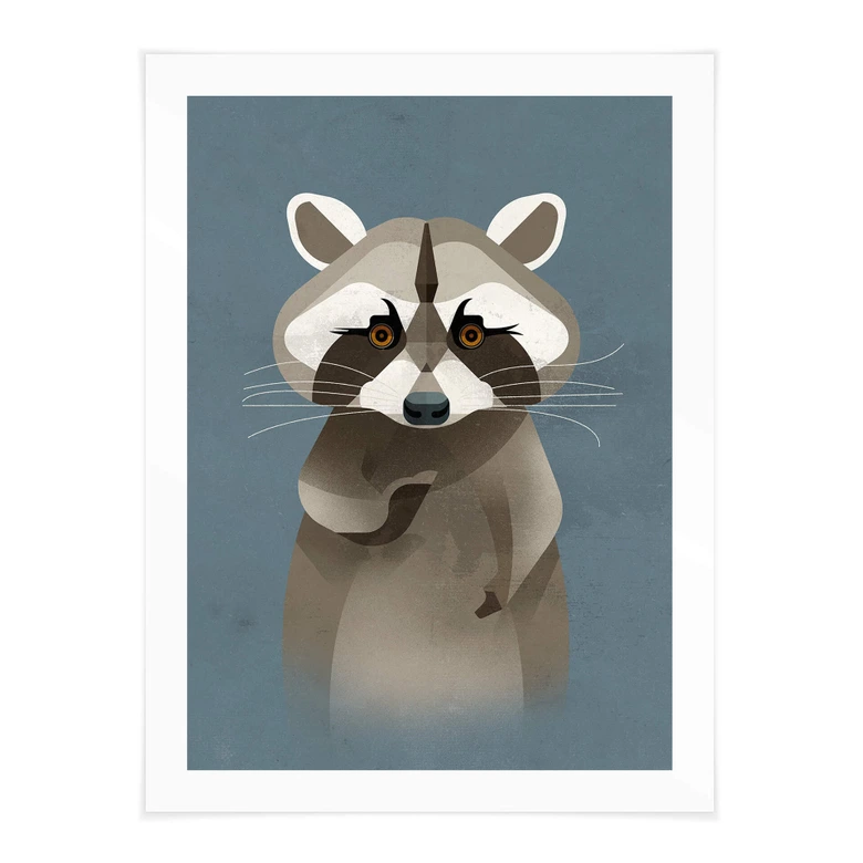 Poster Waschbär - Braun 
