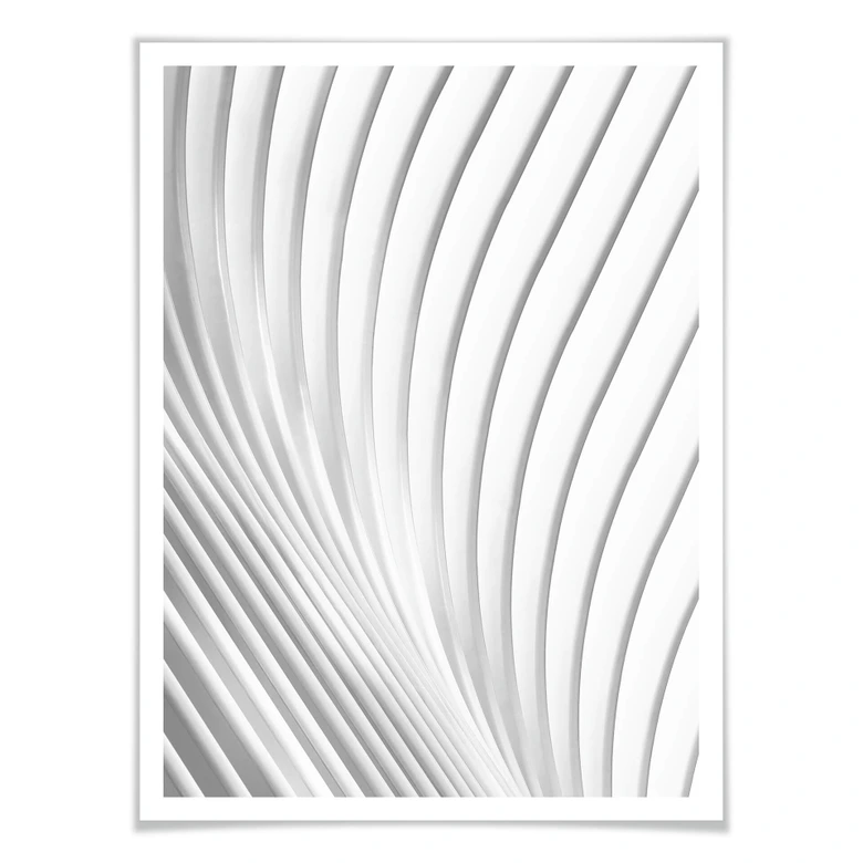Poster Budny - Harmonische Linien 