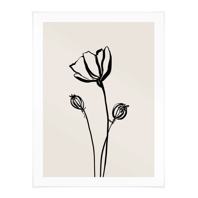 Poster Line Art Mohnblume - Cats & Dotz 