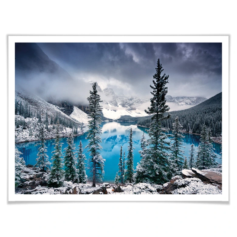 Poster Cole - Blue Morning 