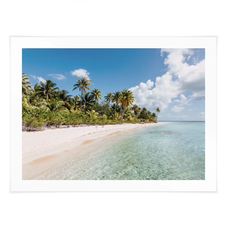 Poster Palmenstrand in der Südsee - Colombo 