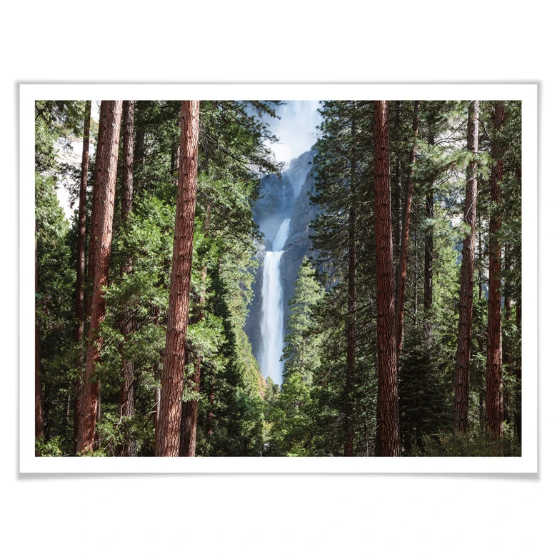 Poster Colombo - Wasserfall im Wald 