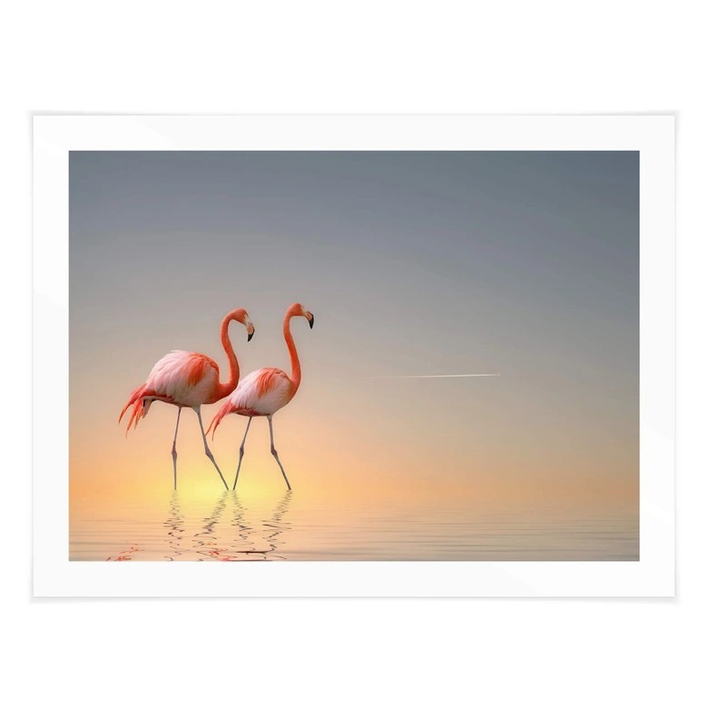 Poster Cseresnjes - Flamingos im Abendlicht 