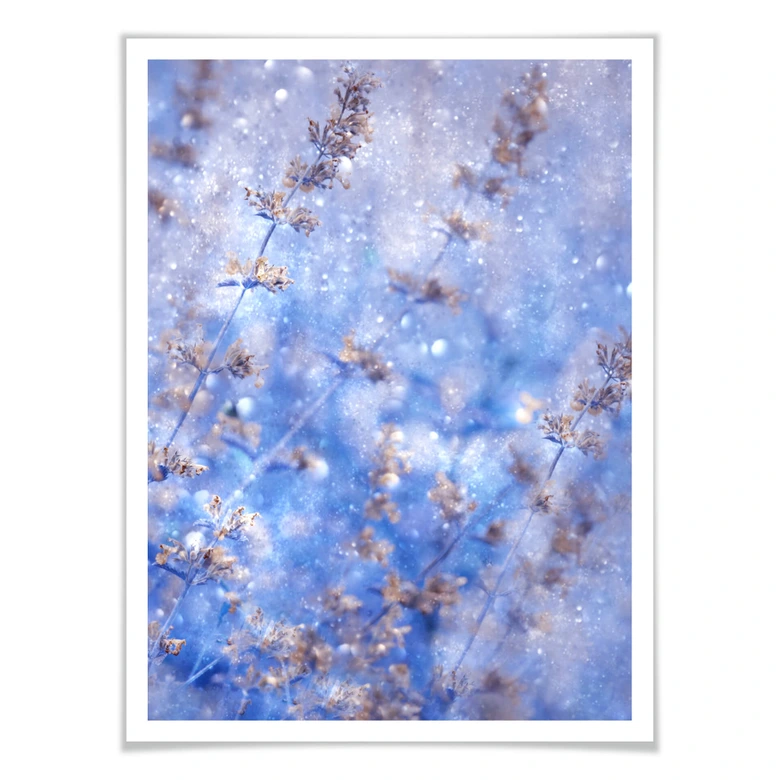 Poster Devos - Früher Winter 