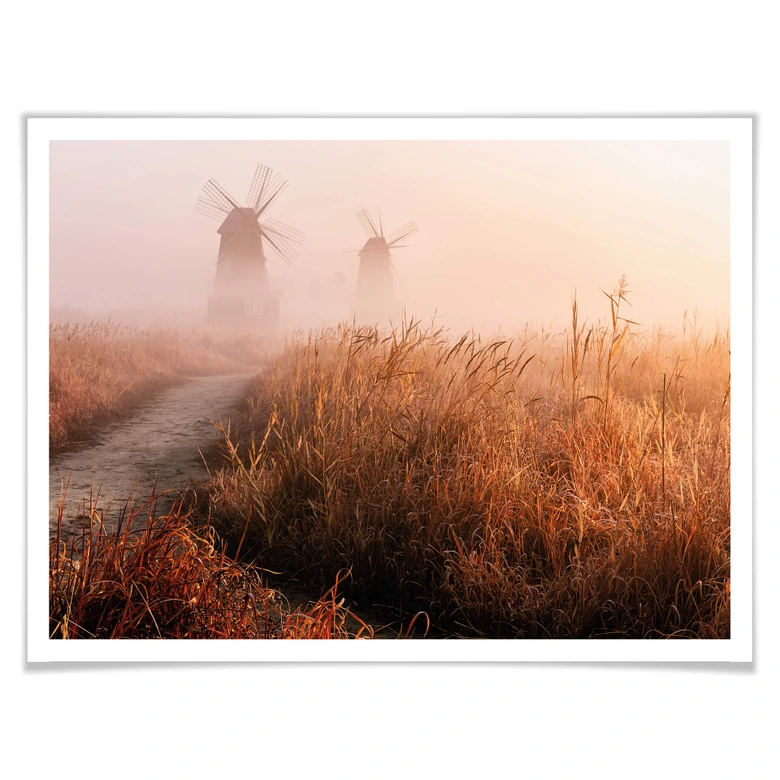 Poster Eom - Dimmig morgon 