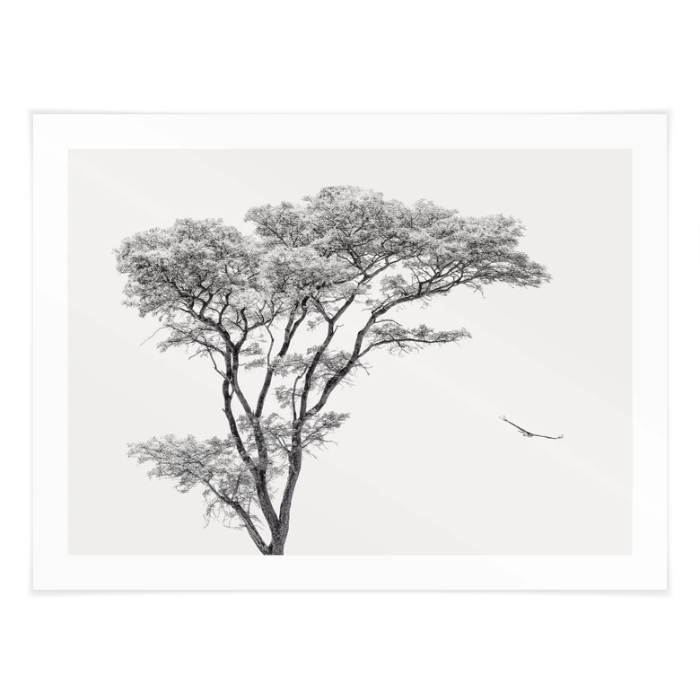 Poster Minimalistischer Baum in ruhiger Landschaft - Flour 