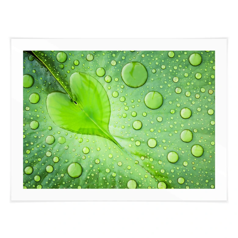 Poster Hart van Regen 