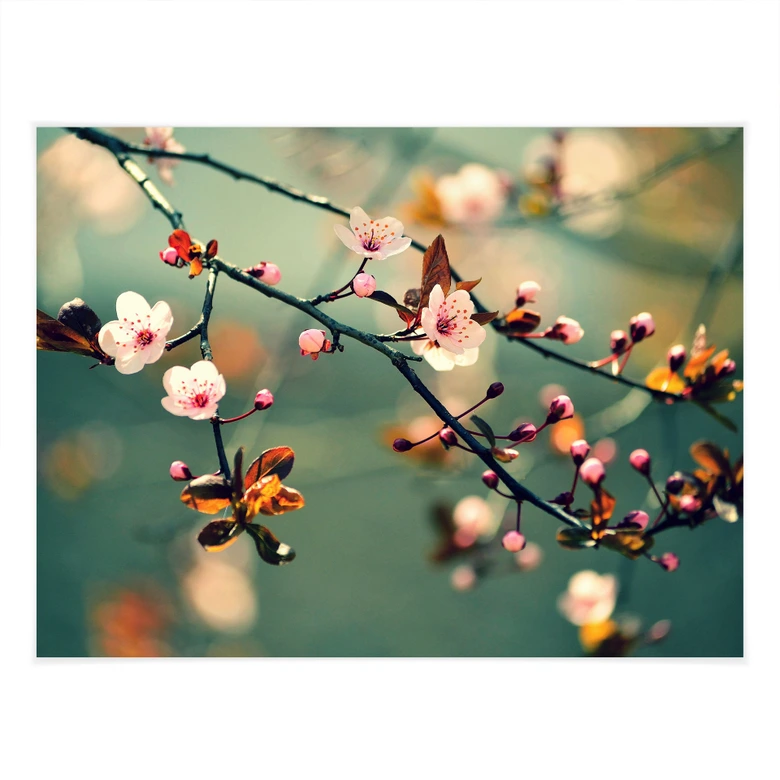 Poster Spring Awakening 