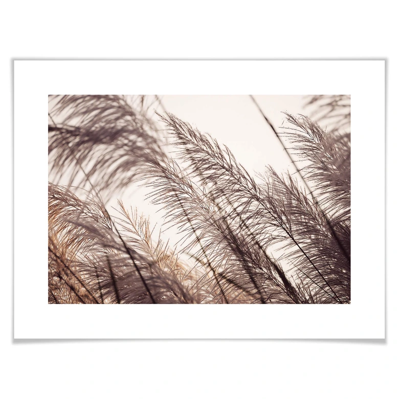 Poster Herbes en pastel 