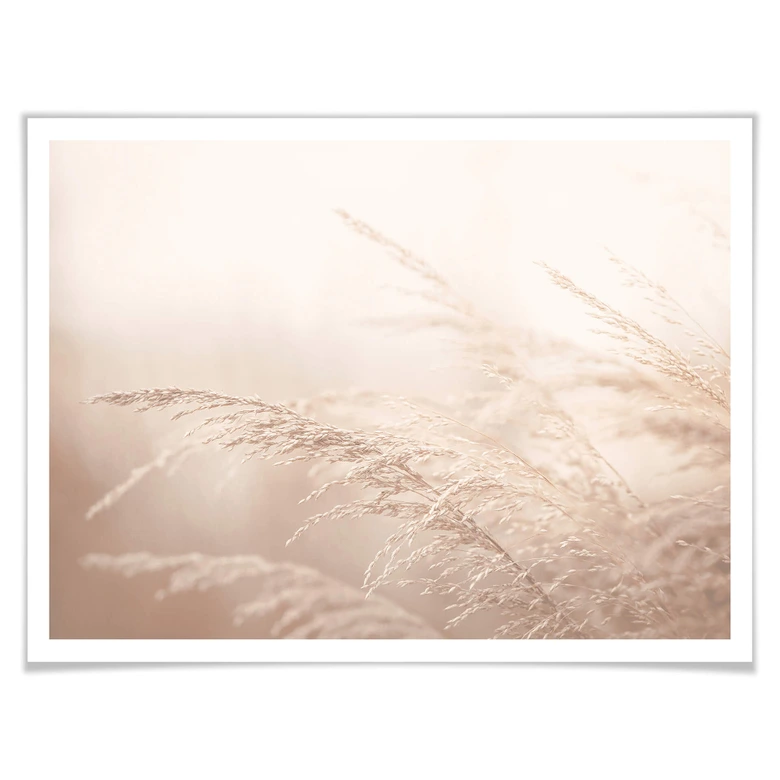 Poster Im Morgenlicht 