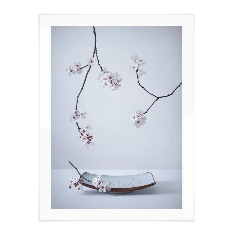 Póster Karpova - Spa y Zakura - Naturaleza muerta floral de primavera 