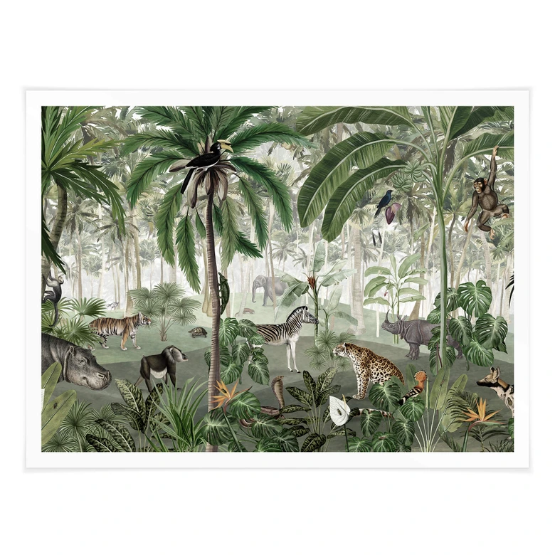 Plakat Kikki Belle - Obraz do wyszukiwania w dżungli 