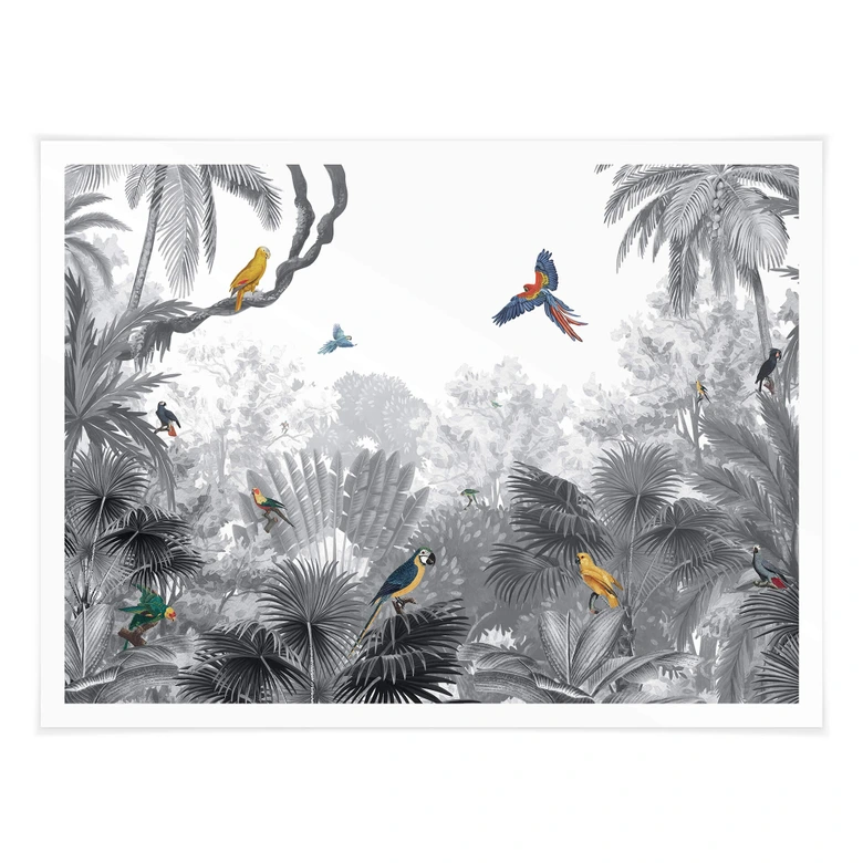 Poster Kikki Belle - Tropische Vogels in het zwart wit 