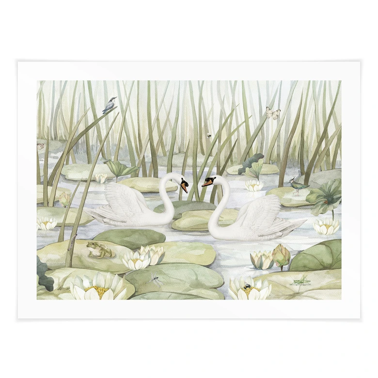 Poster Zwei Schwäne im Teich - Kikki Belle 