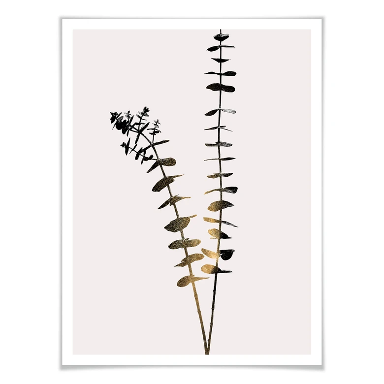 Poster Kubistika - Schwarz-Goldener Eukalyptus 