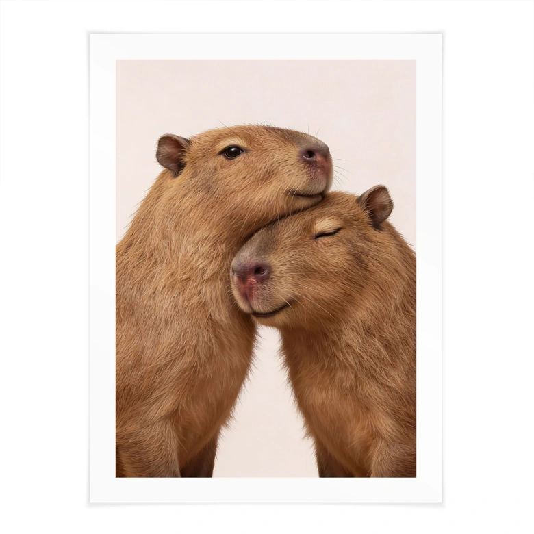 Poster Couple de capybaras en train de se câliner 