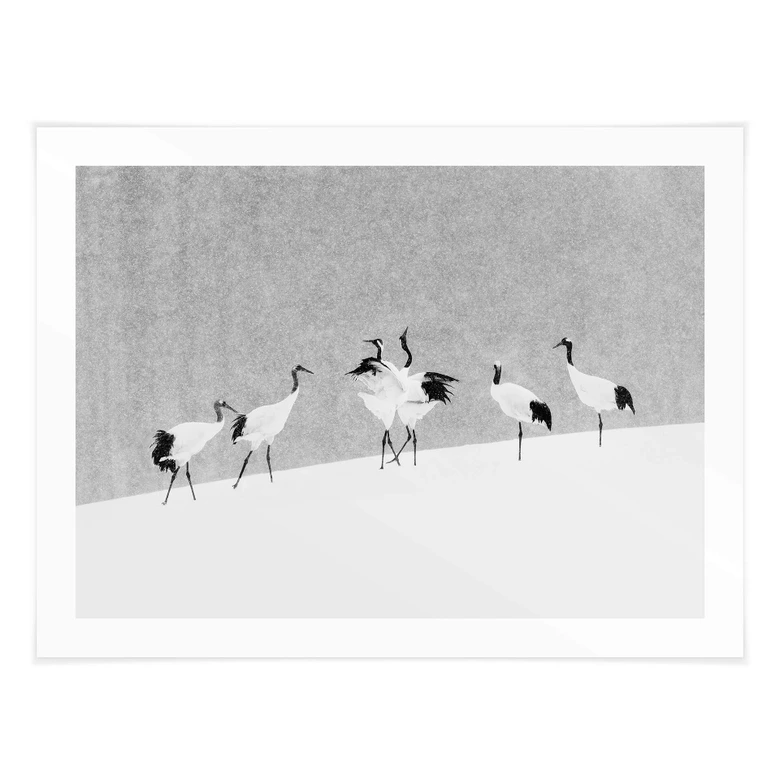 Plakat Marchegiani - Żurawie w zaśnieżonym krajobrazie 