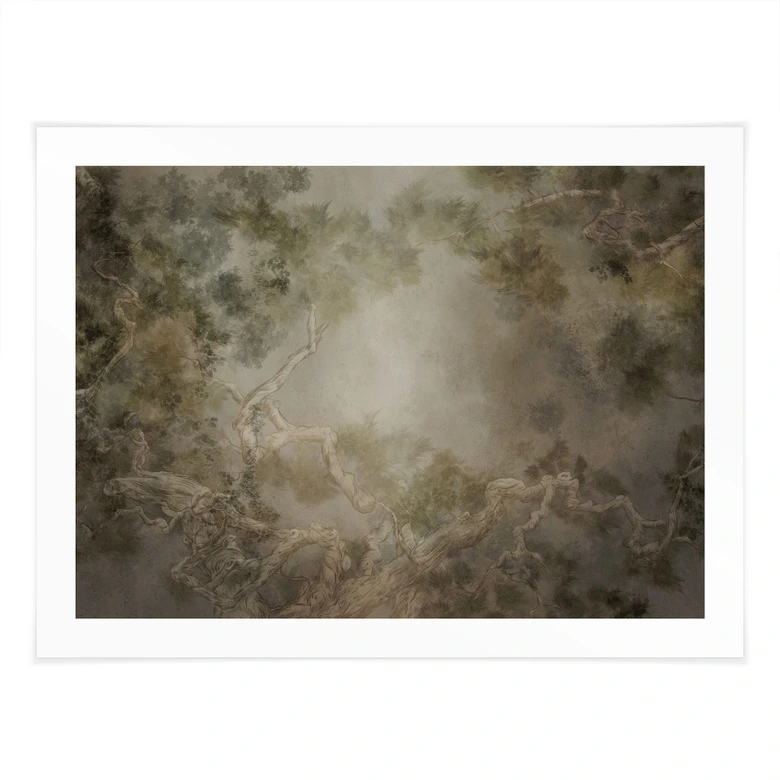 Poster Wald mit Blick in die Baumwipfel - Ms Tiff 