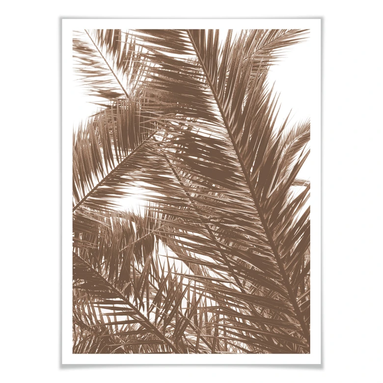 Poster Palmwedel 